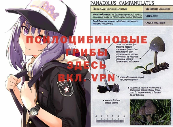 ALPHA-PVP Заводоуковск