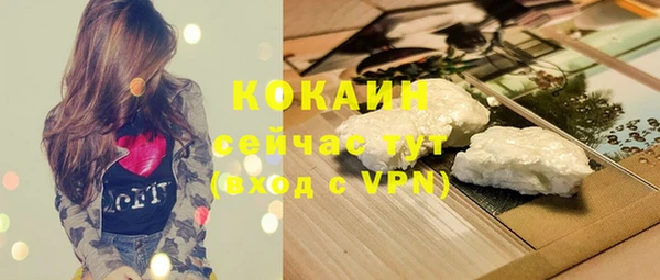 ПСИЛОЦИБИНОВЫЕ ГРИБЫ Заволжье