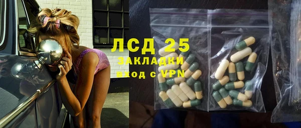 ПСИЛОЦИБИНОВЫЕ ГРИБЫ Заволжье