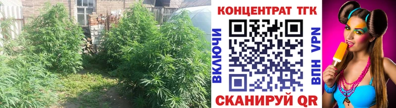 Дистиллят ТГК вейп  Купить где  Кингисепп 