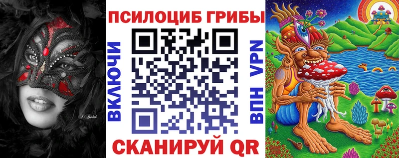 Купить где  Кингисепп  Галлюциногенные грибы MAGIC MUSHROOMS 
