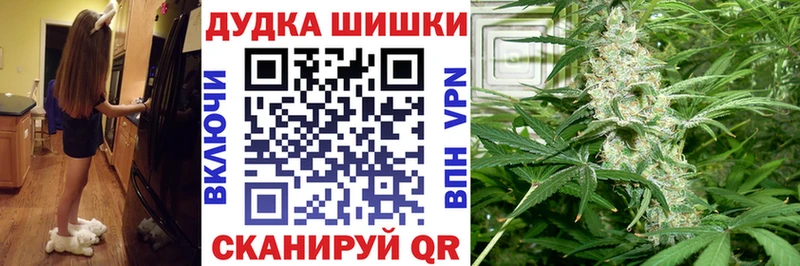 Канабис планчик  Купить  Кингисепп 